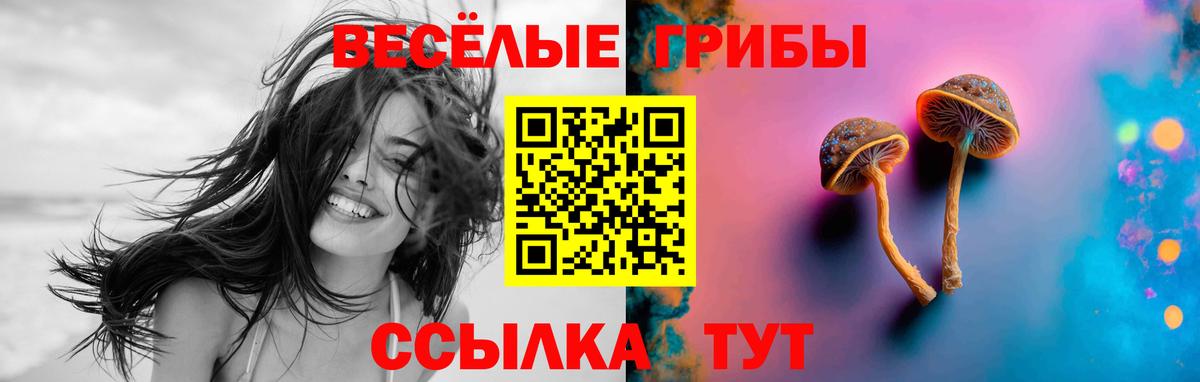 Галлюциногенные грибы Cubensis  Вход с VPN  Галлюциногенные грибы Psilocybine cubensis  Усть-Лабинск 